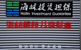 聚焦中原崛起 共筑财富梦想——海林担保产品发布会盛大启幕